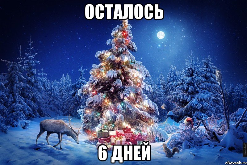 осталось 6 дней