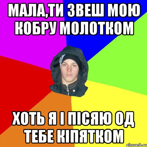 мала,ти звеш мою кобру молотком хоть я і пісяю од тебе кіпятком, Мем 123