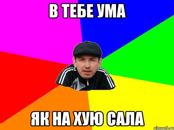 в тебе ума як на хую сала