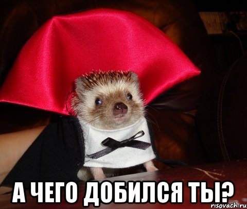 http://risovach.ru/upload/2013/12/mem/a-chego-dobilsya-ty_37763557_orig_.jpeg