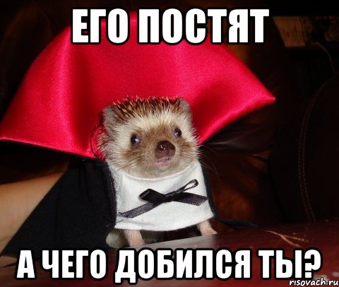 его постят а чего добился ты?