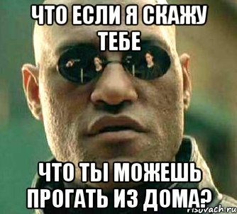 что если я скажу тебе что ты можешь прогать из дома?, Мем  а что если я скажу тебе