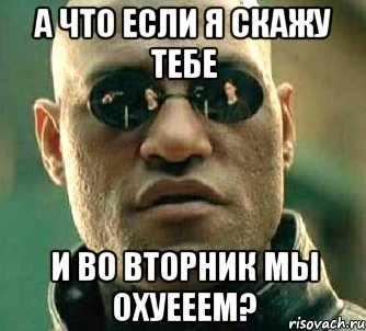 А что если я скажу тебе И во вторник мы охуееем?, Мем  а что если я скажу тебе