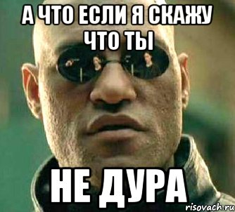а что если я скажу что ты не дура, Мем  а что если я скажу тебе