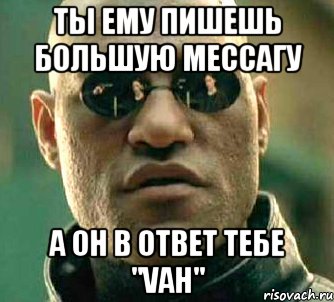 ты ему пишешь большую мессагу а он в ответ тебе "vah", Мем  а что если я скажу тебе