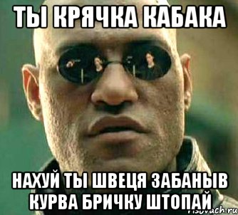 ты крячка кабака нахуй ты швеця забаныв курва бричку штопай, Мем  а что если я скажу тебе