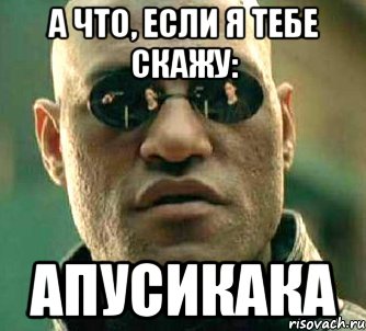 А что, если я тебе скажу: АПУСИКАКА, Мем  а что если я скажу тебе