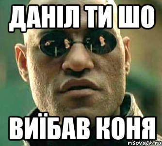 даніл ти шо виїбав коня, Мем  а что если я скажу тебе