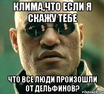 КЛИМА,ЧТО ЕСЛИ Я СКАЖУ ТЕБЕ ЧТО ВСЕ ЛЮДИ ПРОИЗОШЛИ ОТ ДЕЛЬФИНОВ?, Мем  а что если я скажу тебе