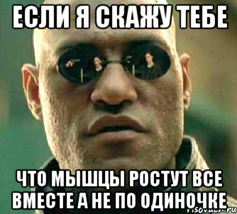 Если я скажу тебе что мышцы ростут все вместе а не по одиночке, Мем  а что если я скажу тебе