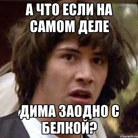 А что если на самом деле Дима заодно с Белкой?, Мем А что если (Киану Ривз)