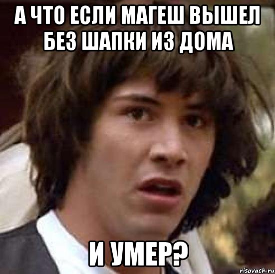 а что если магеш вышел без шапки из дома и умер?, Мем А что если (Киану Ривз)