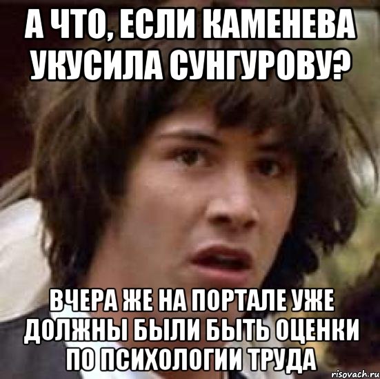 А что, если Каменева укусила Сунгурову? Вчера же на портале уже должны были быть оценки по психологии труда, Мем А что если (Киану Ривз)