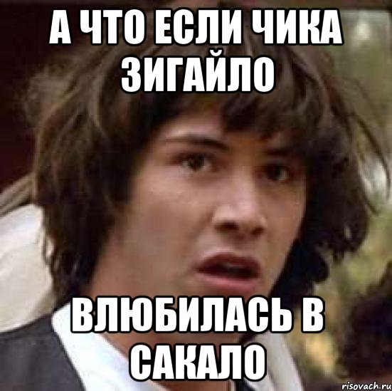 А ЧТО ЕСЛИ ЧИКА ЗИГАЙЛО ВЛЮБИЛАСЬ В САКАЛО, Мем А что если (Киану Ривз)