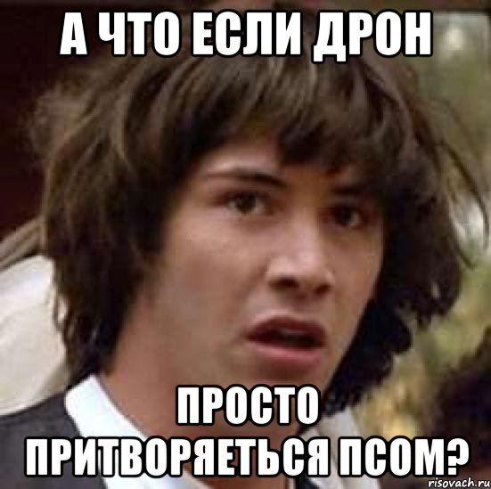 А что если дрон просто притворяеться псом?, Мем А что если (Киану Ривз)