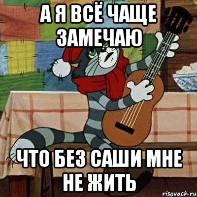 А Я ВСЁ ЧАЩЕ ЗАМЕЧАЮ ЧТО БЕЗ САШИ МНЕ НЕ ЖИТЬ, Мем Кот Матроскин с гитарой