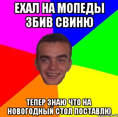 ехал на мопеды збив свиню тепер знаю что на новогодный стол поставлю