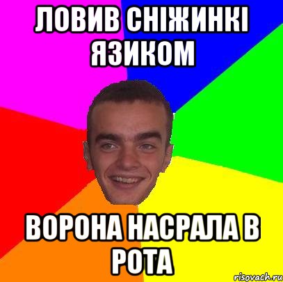 ловив сніжинкі язиком ворона насрала в рота