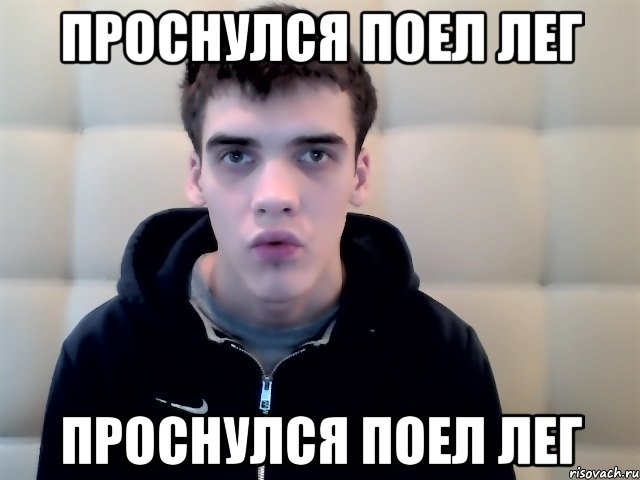 проснулся поел лег проснулся поел лег