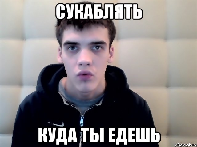 сукаблять куда ты едешь