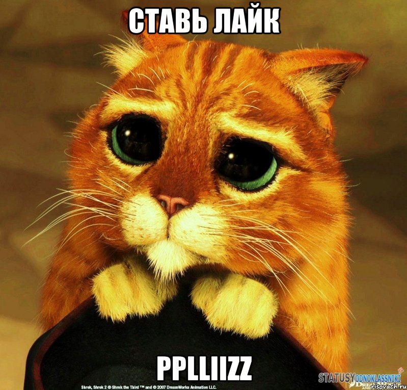 ставь лайк pplliizz