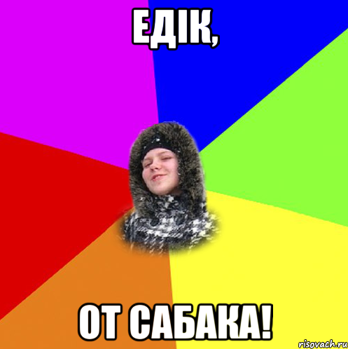 Едік, от сабака!