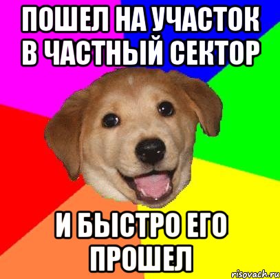 Пошел на участок в частный сектор И быстро его прошел, Мем Advice Dog