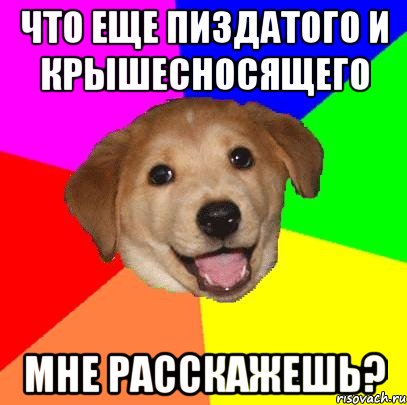 Что еще пиздатого и крышесносящего мне расскажешь?, Мем Advice Dog