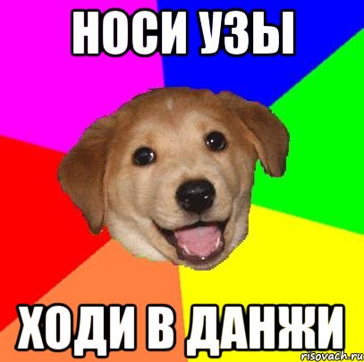 Носи узы ходи в данжи, Мем Advice Dog