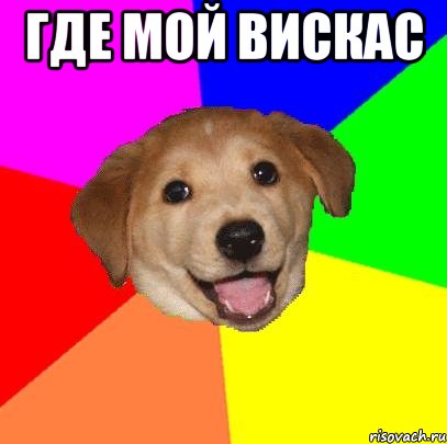 где мой вискас , Мем Advice Dog