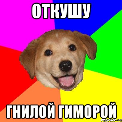 откушу гнилой гиморой, Мем Advice Dog