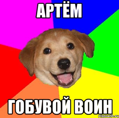 артём гобувой воин, Мем Advice Dog