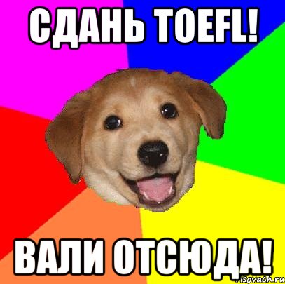 СДАНЬ TOEFL! ВАЛИ ОТСЮДА!, Мем Advice Dog