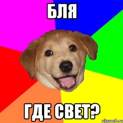 бля где свет?, Мем Advice Dog