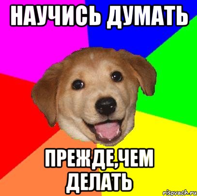 научись думать прежде,чем делать, Мем Advice Dog