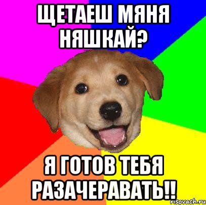 Щетаеш мяня няшкай? Я готов тебя разачеравать!!, Мем Advice Dog