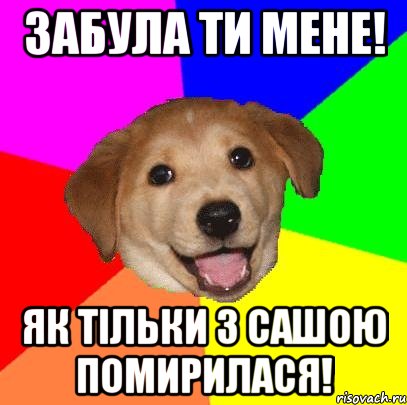 Забула ти мене! Як тільки з сашою помирилася!, Мем Advice Dog