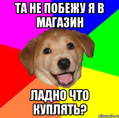 Та не побежу я в магазин Ладно что куплять?, Мем Advice Dog