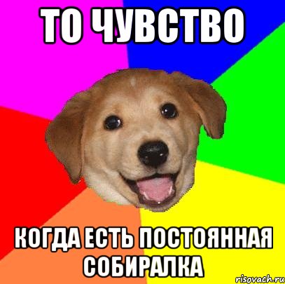 То чувство когда есть постоянная собиралка, Мем Advice Dog