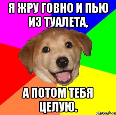 Я жру говно и пью из туалета, а потом тебя целую., Мем Advice Dog