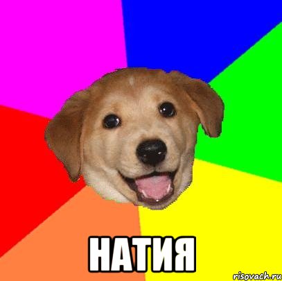  Натия, Мем Advice Dog