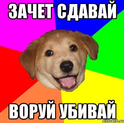 зачет сдавай воруй убивай, Мем Advice Dog