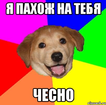 я пахож на тебя чесно, Мем Advice Dog