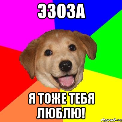 Эзоза Я тоже тебя люблю!, Мем Advice Dog