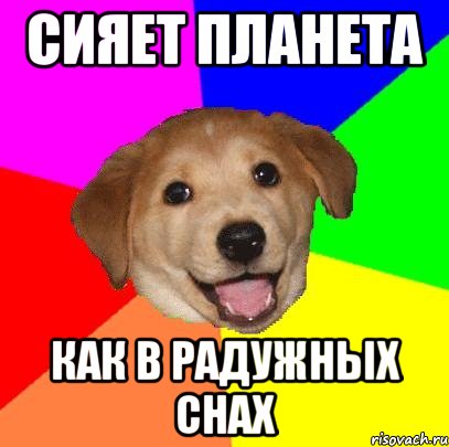 сияет планета как в радужных снах, Мем Advice Dog