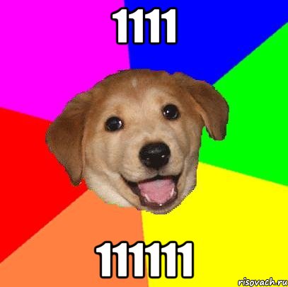 1111 111111, Мем Advice Dog