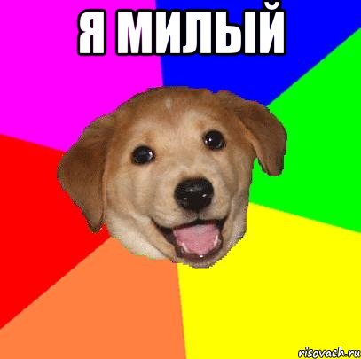 я милый , Мем Advice Dog