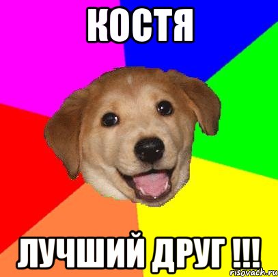 Костя Лучший друг !!!, Мем Advice Dog