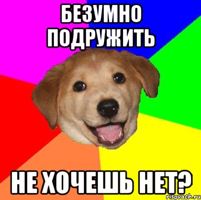 безумно подружить не хочешь НЕТ?, Мем Advice Dog