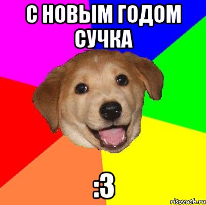 с новым годом сучка :З, Мем Advice Dog